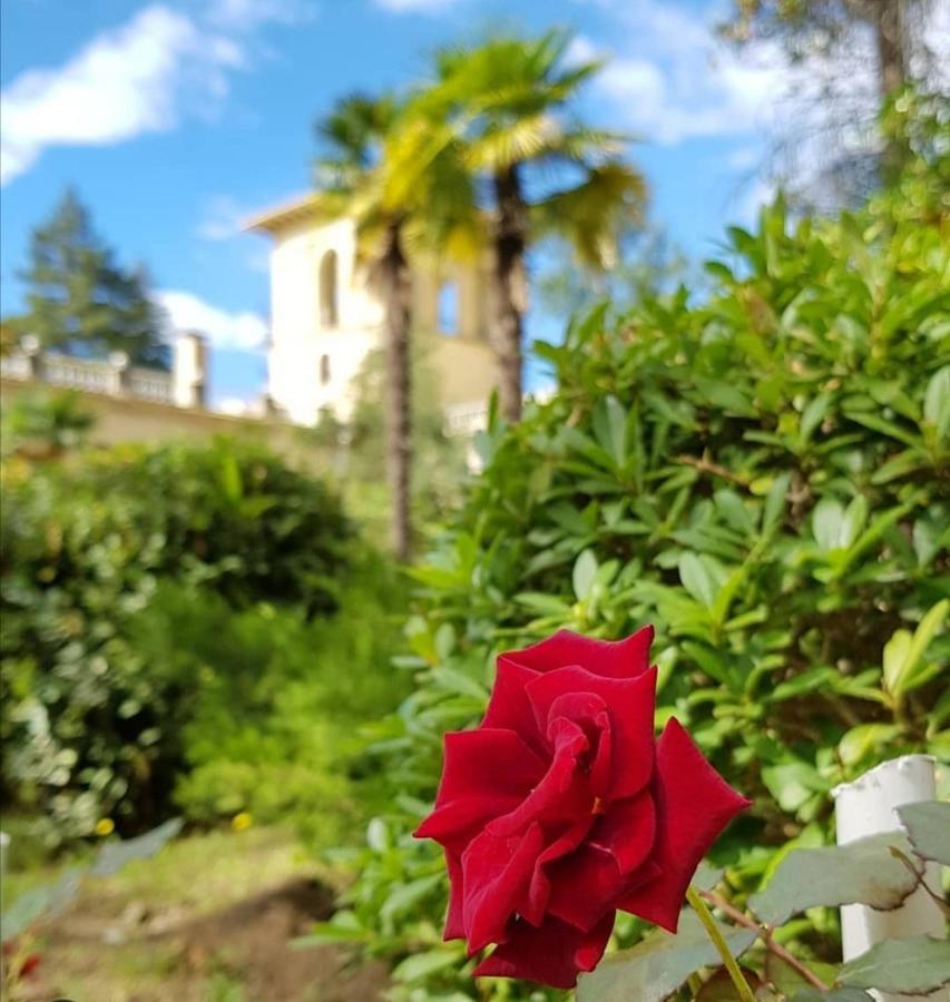 Amra Park-Hotel & Spa Gagra Exterior foto